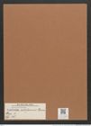 Navicula cotiformis Grun. (de-Toni-Nr.: Genus 1, Species 35) Zeichnungen Sammlung Grunow Mappe 00027 (Herbarium_W_Grunow_drawings_Folder_00027)